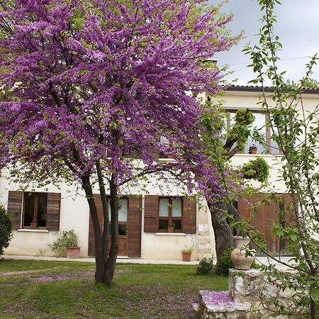 B&B Alte Paderno del Grappa Екстер'єр фото