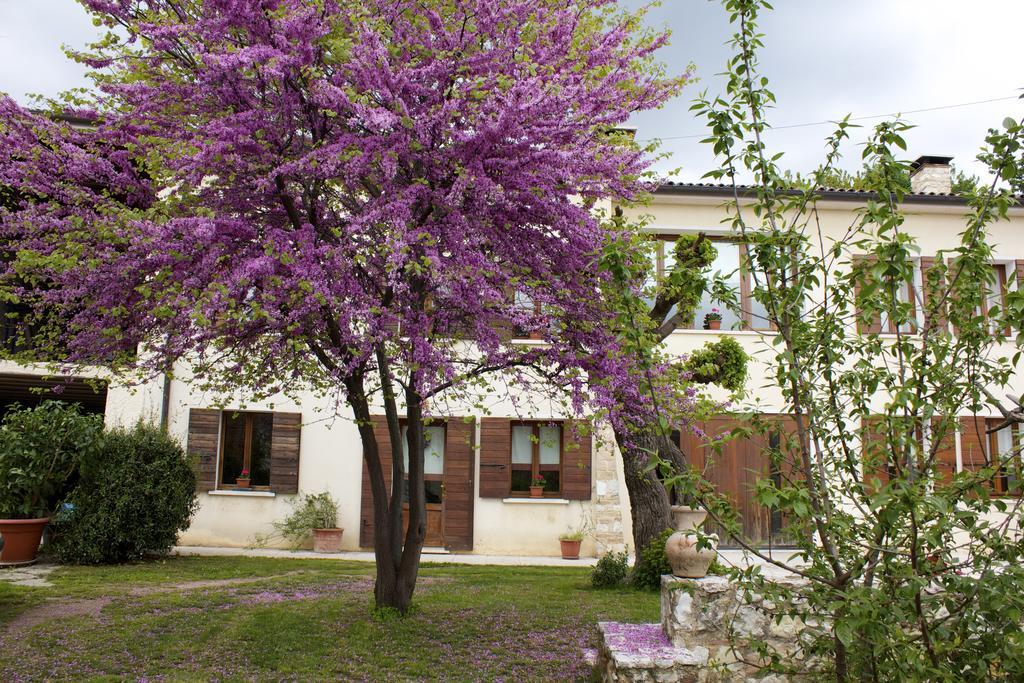 B&B Alte Paderno del Grappa Екстер'єр фото