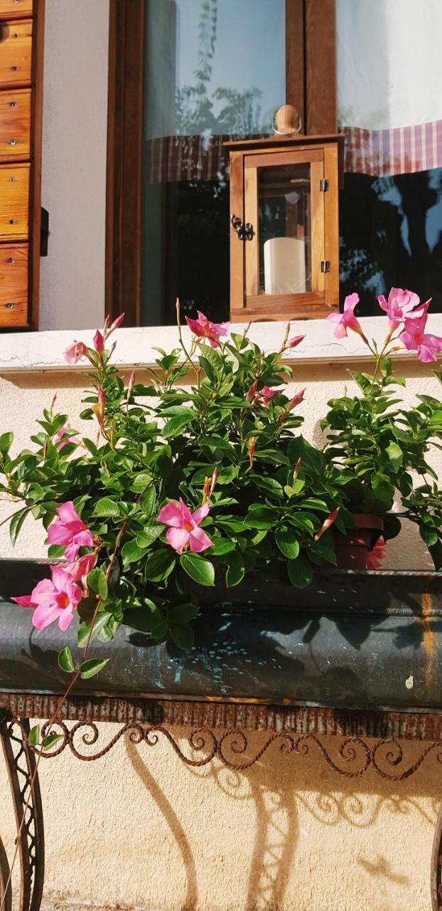B&B Alte Paderno del Grappa Екстер'єр фото